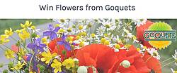 Goquets: Bouquet of Summer Flowers Giveaway