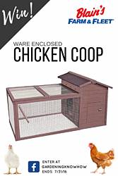 Gardening Know How: Ware Enclosed Chicken Coop Giveaway