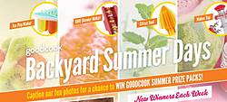Good Cook Backyard Summer Days Caption Contest
