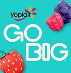 Yoplait Go Big Amazing Teen Contest