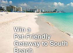 ShermansTravel Pet-Friendly Getaway to South Beach Sweepstakes