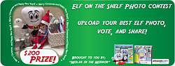 Elf on the Shelf Photo Contest
