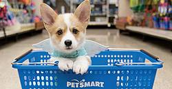 Puppy’s First Visit to PetSmart Sweepstakes