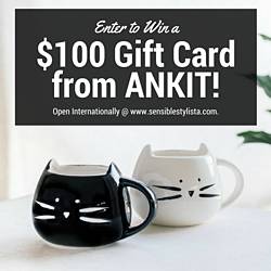 Sensiblestylista: $100 Gift Card Giveaway