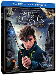 Irish Film Critic: Fantastic Beasts and Where to Find Them on Blu-Ray Giveaway