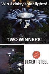 Gardening Know How: Desert Steel Daisy Solar Light Giveaway