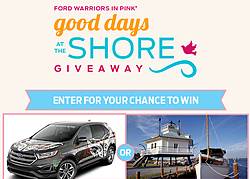 Ford Warriors in Pink Hallmark Channel Giveaway