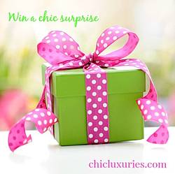 Chic Luxuries: Hot Stuff Giveaway