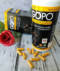 Momknowsbest: GOPO Rosehips Supplement Giveaway