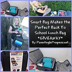 Parenting in Progress: Smart Bag From Smart Planet Giveaway