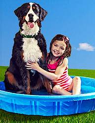 Purina Pool Of Prizes Instant Win Game & Sweepstakes