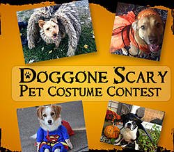 3rd Annual DOGGONE Scary Pet Costume Contest