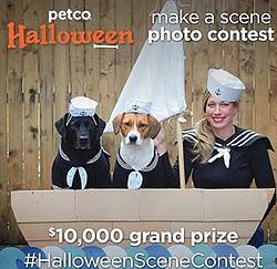 PETCO Halloween Make a Scene Photo Contest
