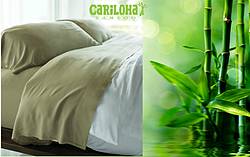 Pausitiveliving: Cariloha Plush Bedding Prize Pack Giveaway