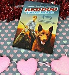 Parenting in Progress: Win Red Dog on DVD