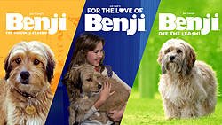 Parenting in Progress: Benji Collection Giveaway