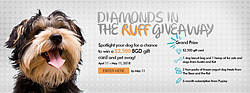 Brian Gavin Diamonds - Diamonds in the Ruff Giveaway