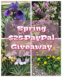 Catsinthecradle: Spring $25 PayPal Giveaway