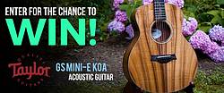 The Music Zoo Taylor Guitar Giveaway