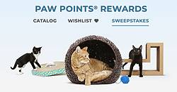 Paw Points FY19 First Half Multisweeps