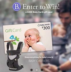 Babywise Life $300 Gift Card Giveaway
