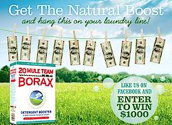 20 Mule Team Borax: Get The Natural Boost Sweepstakes