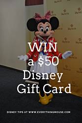 EverythingMouse: Disney Giveaway