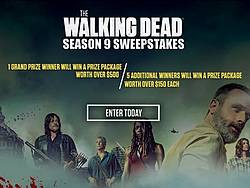 The Walking Dead Season 9 Giveaway