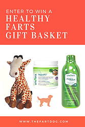 Farting Plush Toy Giveaway