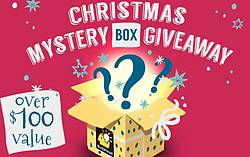 Bulbhead Christmas Mystery Box Giveaway