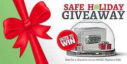 Paragon Security Electronic Safe Giveaway