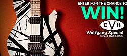 The Music Zoo Guitar Sweepstakes