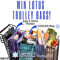 Quirky Mom Next Door: Lotus Trolley Bags Giveaway