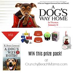 Crunchy Beach Mama: A Dog's Way Home Prize Pack Giveaway