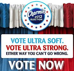 Charmin Election Instant Win Game