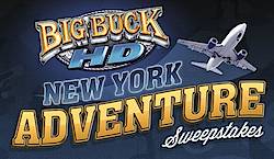 Big Buck HD New York Adventure