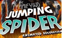 Spencer's Jumping Spider Giveaway