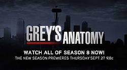 Star Pulse: Grey's Anatomy Tote Bags Giveaway