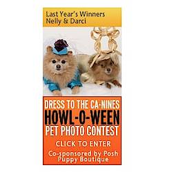 Daily Kibble: Dress To The Ca-Nines "Howl-o-ween" Pet Photo Contest