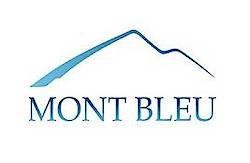 Mom's Focus On Cyber World: Mont Bleu Luxury Beauty Tools Giveaway