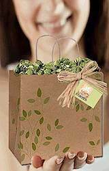 Savvy Shopper Central: Green Grab Bag Subscription Giveaway