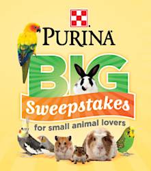 Purina: Big Sweepstakes for Small Animal Lovers Sweepstakes