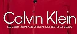 Dillard's Calvin Klein Soft Shells Giveaway