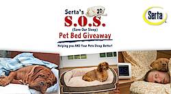 Serta's S.O.S. Pet Bed Contest