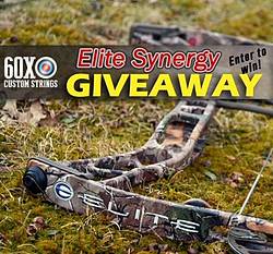 Elite Synergy Compound Bow $1000 Value Giveaway
