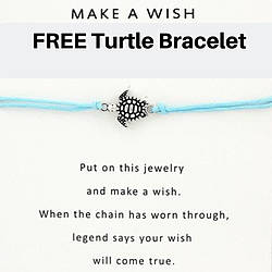 Wildlifealive: Free Turtle Bracelet Giveaway