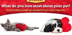 1-800-Petmeds My Furry Valentine Sweepstakes