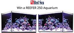 Marine Depot Aquariam Supplies Red Sea Aquarium Giveaway