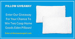 Coop Home Goods Eden Pillow Giveaway