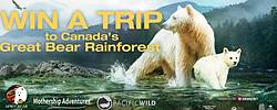 Great Bear Rainforest Sweepstakes